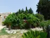 Maison d'hôte -  avec SPA exterieur - à vendre à Perpignan (1).webp